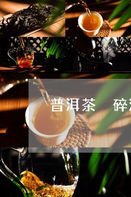 普洱茶 碎沫/2023042909890